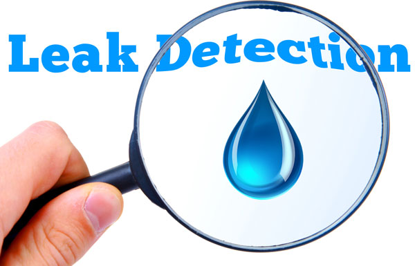 Plumbing Leak Detection